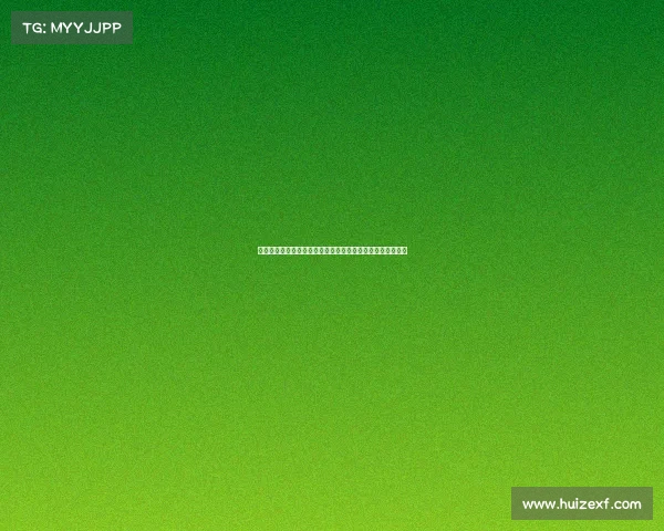 聚焦国内钓鱼赛事全纪实高手竞技精彩对决高潮迭起盛况空前